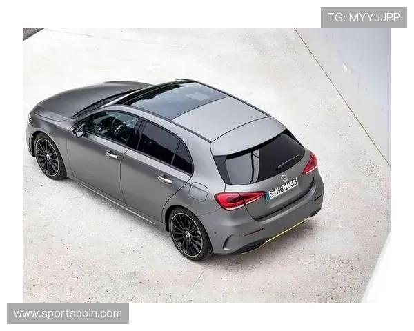 奔驰宝马单机官方最新版游戏大厅多语言支持与国际化运营策略分析